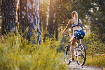 Plakat cyclist cycling mountain bike on pine forest trail