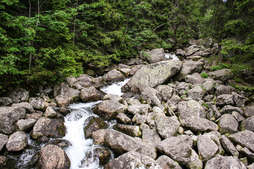 panorama from green beskid mountains ,high tatra, with wild river