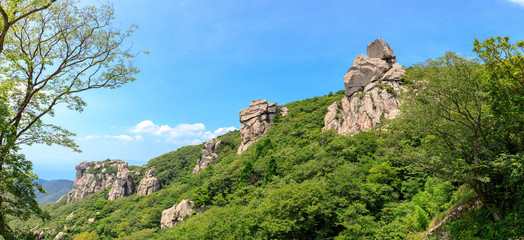 Obraz premium Boriam Buddhist temple scene in Geumsan Mountain, NamhaeBoriam