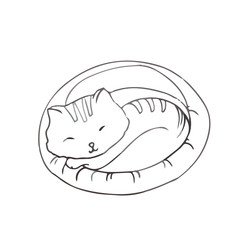 sleeping cat on white background Hand drawn outlined vector