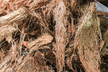 Closeup of Coconut spathe fiber Dried coconuts peels