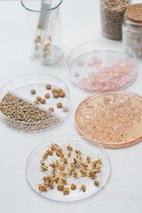 Test tubes on a table