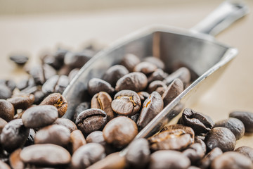 macro of coffee beans with metal scoop
