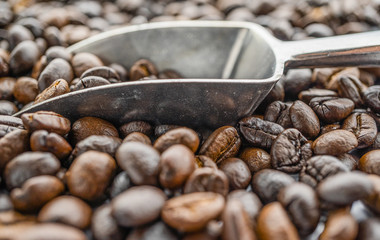 coffee beans with metal scoop