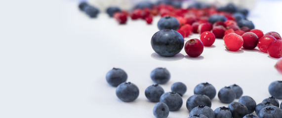 Blueberries and cranberries, berries on a white background. Berry light background.