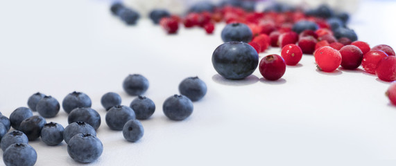 Blueberries and cranberries, berries on a white background. Berry light background.