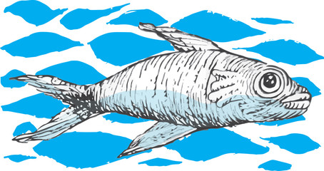 balık vektörel illüstrasyon çizimi © camomer