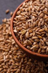 spelt seeds on a dark stone background