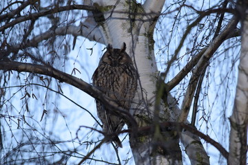 Beim Schlafen gestört