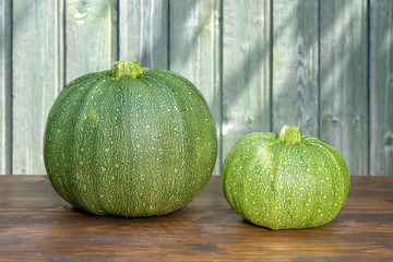 Fresh green courgettes of round shape