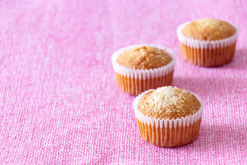 Homemade vanilla muffin with coconut powder. Pink background. Copy space. Selective fcus.