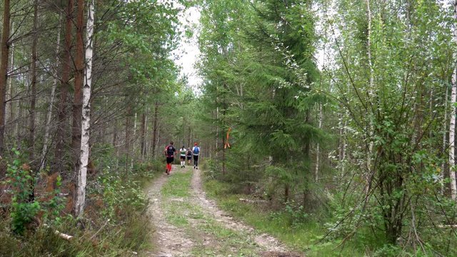 Trailrunners participating in a local trail marathon