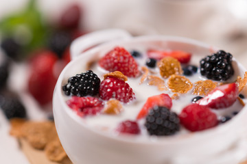 Bowl of cereal topped with fresh berries