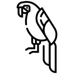 Parrot Line illustration 