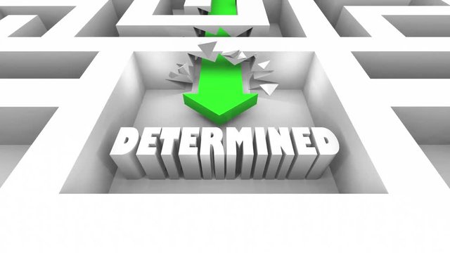 Determined Committed Determination Commitment Maze 3d Animation