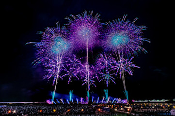 長岡まつり大花火大会 ~天地人花火~