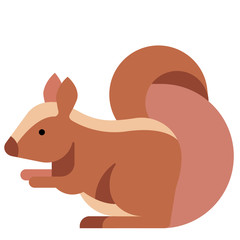 Squirrel flat illustration