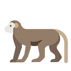 Monkey flat illustration