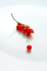 Red currant berries twig served on white plate background