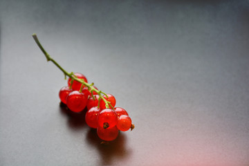 Red currant berries twig served on black  plate background. Selective focus