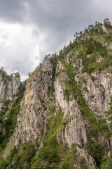 Gebirgswand Felsen und Pflanzen Hochformat
