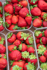 Red, ripe, fresh strawberries in plastic containers.