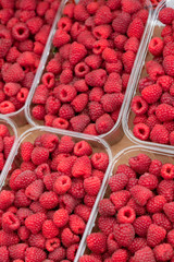 Red, ripe, fresh raspberries in plastic containers.