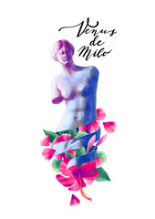 Venus de Milo statue and albizia flowers