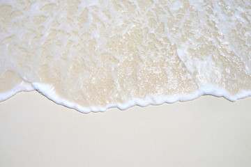 Shallow water wave with foam crown