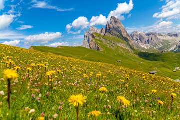 Dolomites Alps in summer, Italy