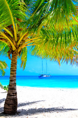 Dream beach with palm on white sand and sailing yacht in turquoise ocean