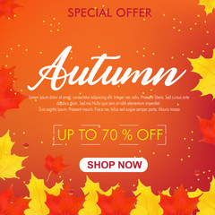 autumn sale vector illustration background
