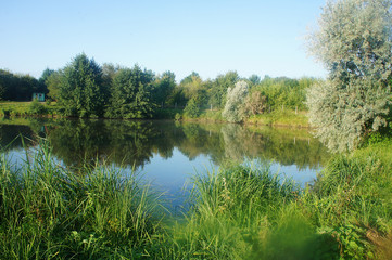 Fototapeta na wymiar scenic landscape of lake nature Ukraine, Europe lake and forest blue sky