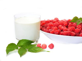 Large full plate of harvested red ripe juicy sweet fresh raspberries, a glass of rustic natural fat cow's milk, a few berries on a branch with foliage next to the white background.