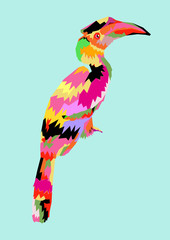 isolated colorful hornbill bird vector illustration © plalek