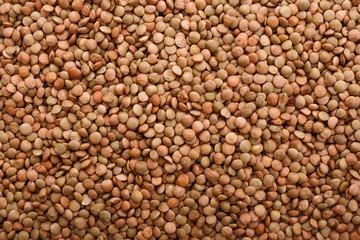 raw lentils on a white acrylic background