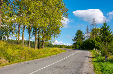 country road uphill in to the forest. lovely autumn scenery. travel by car concept