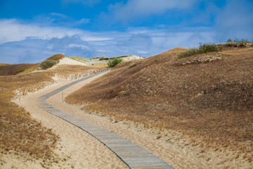 Dunes with wooden walkway over sand near Baltic sea. Board way over sand of beach dunes in Lithuania.