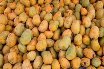 Huge groups of mangoes at a local market in New Delhi, India