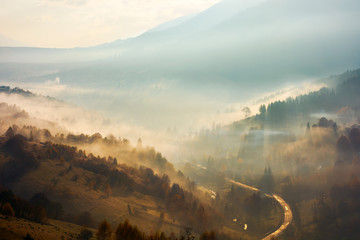 beautiful foggy background. country road down in the valley trees on hill in the mist - obrazy, fototapety, plakaty