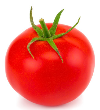 Tomato isolated on white background. With clipping path