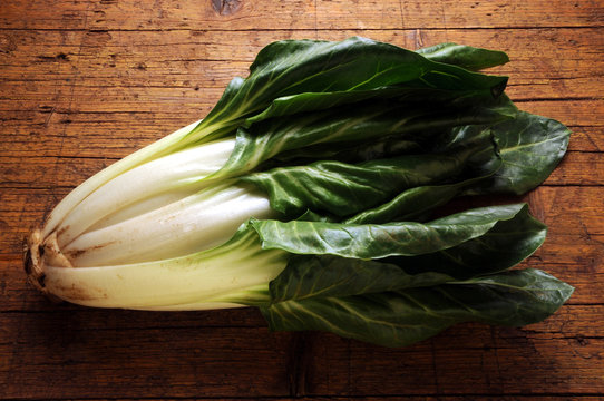 Beta vulgaris Lehtimangoldi Swiss chard Bietola Mangold Acelga Burak liściowy Bieta Bette 莙薘菜 סלק עלים Мангольд フダンソウ 