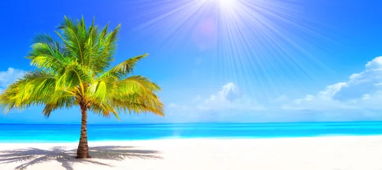 Papier Peint photo autocollant Île Plage de rêve surréaliste et magnifique avec palmier sur sable blanc et océan turquoise