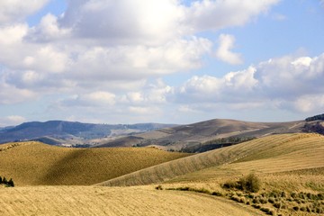 Fototapeta na wymiar Landschaft mit Feldern 