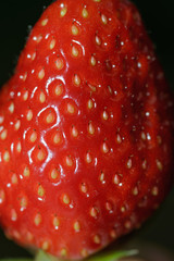 bright red strawberry close-up