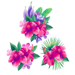 Exotic collection of tropical floral vignettes