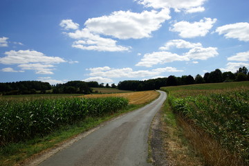 Landstrasse,Landwirtschaft,Sommer
