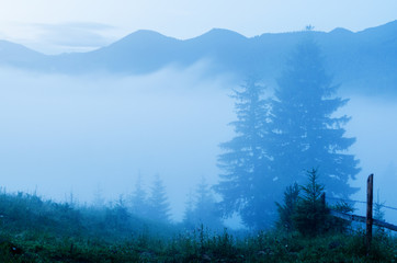 dense fog in the mountains before sunrise