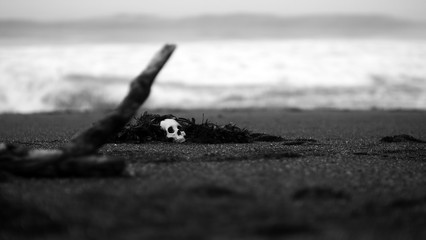 HUMAN SKULL WASHED UP ON THE BEACH, IN BLACK AND WHITE