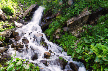 small waterfall in the mountains against the background of green trees